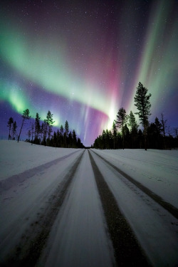 lockdownheaven: Road to Aurora  