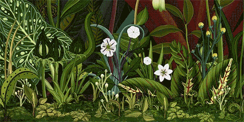 renamonkalou:Story of flowers | Katie Scott, animated by James Paulley, and directed by Azuma Makoto