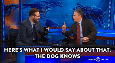 comedycentral:  Seth Rogen was unbeliebably funny on last night’s Daily Show. Click here to watch. 