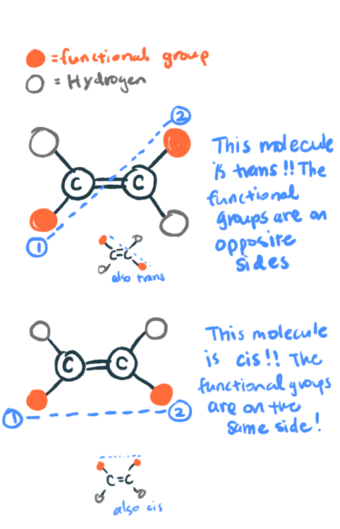 cyclopentadiene:  atomicallena:  scienceforebreakfast:  One example of how big a role isomers can play is talked about here: Radiolab: Mirror Mirror.  Some fantastic illustrations explaining the basic concepts regarding cis and trans.  Just a few things