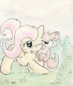 slightlyshade:  Fluttershy found a new critter