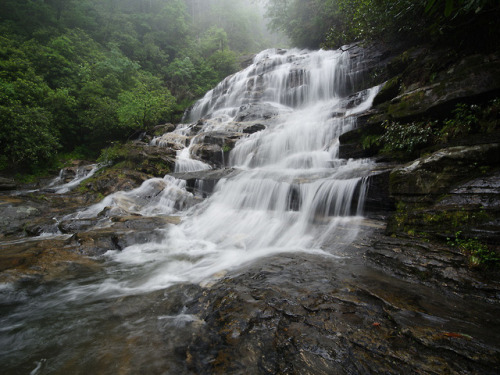 Back to the Glen by Jeff