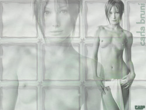 famousnakedbodies:carla bruni