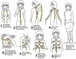 jadepalaceofporn:  I got back into softcore bondage and found this very helpful image.