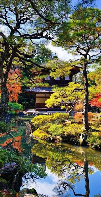 zekkei-beautiful-scenery:  Japan 日本の絶景 Zekkei Beautiful Breathtaking Scenery