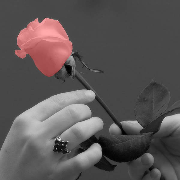 carmenbass:  There is no salvation for the soul but to fall in Love. Only lovers