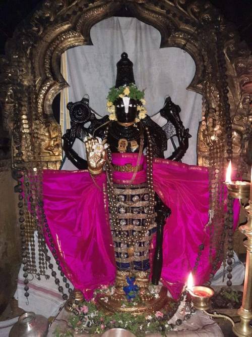 Melkote Sri Thirunarayana Perumal. Karnataka