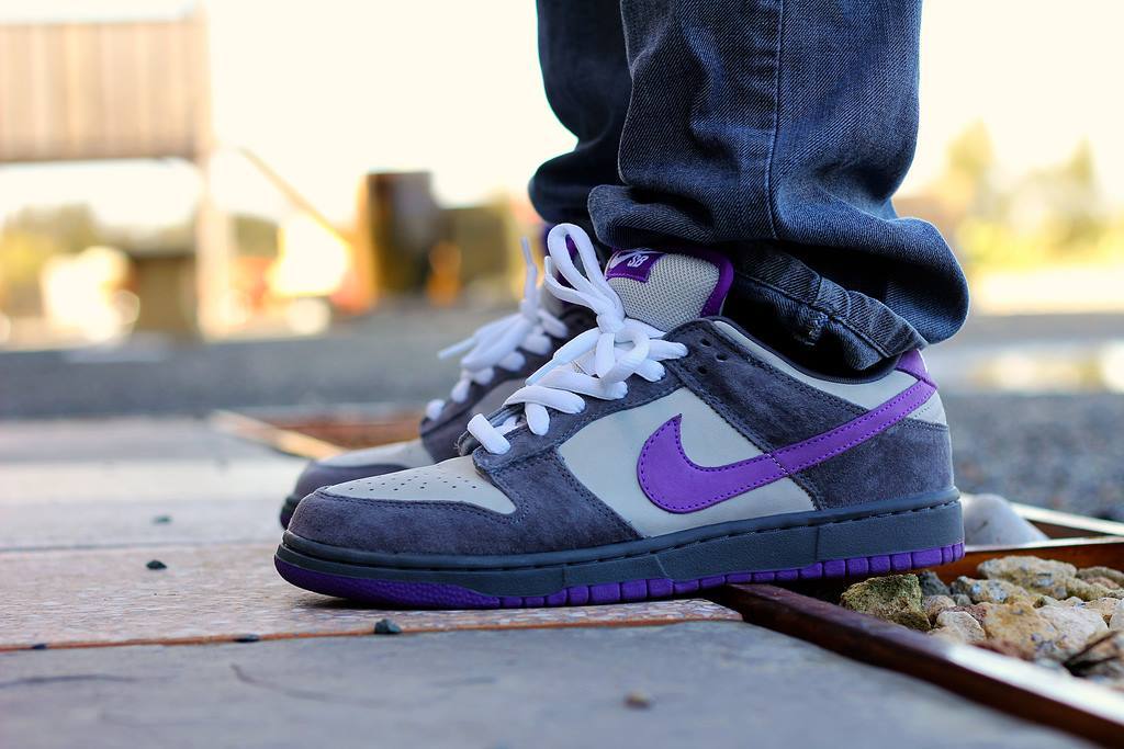 nike sb dunk low purple pigeon