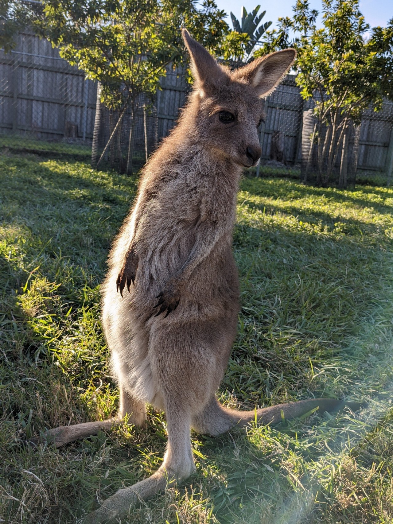 Last day in Australia it’s gonna be a wild trip home. Leaving at 10:30pm back to 5:55pm the same day The 6 months here will be cherished for the rest of my life and I can only hope I can come back next year to my husband. My heart I know will ache