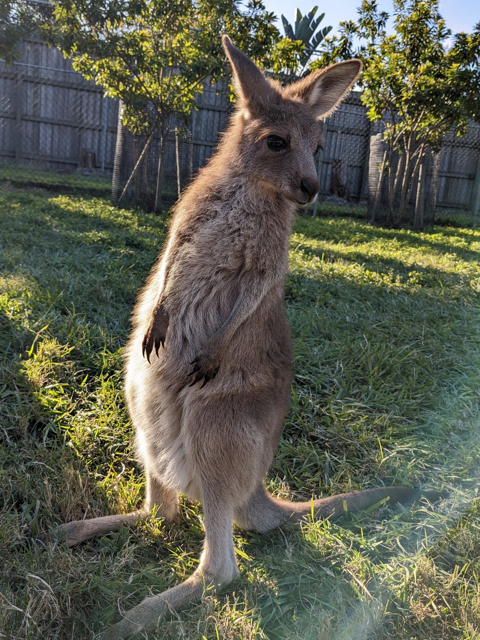 Last day in Australia it’s gonna be a wild trip home. Leaving at 10:30pm back to 5:55pm the same day The 6 months here will be cherished for the rest of my life and I can only hope I can come back next year to my husband. My heart I know will ache