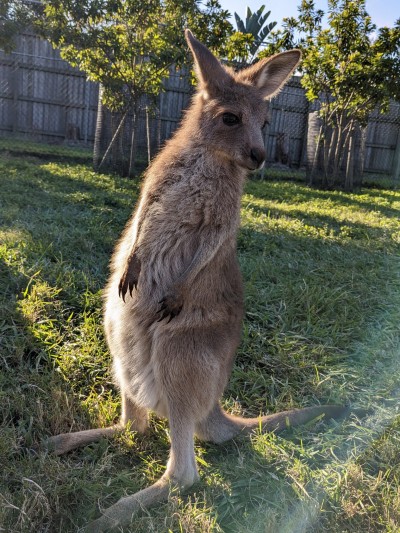 Last day in Australia it&rsquo;s gonna be a wild trip home. Leaving at 10:30pm