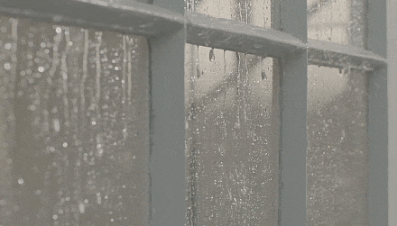 cosyrainydays:cosy rainy days 