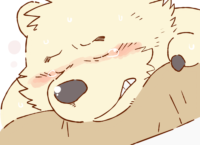 baratobriefs:  From 熊パパ人ムスコ by ガロウ好き