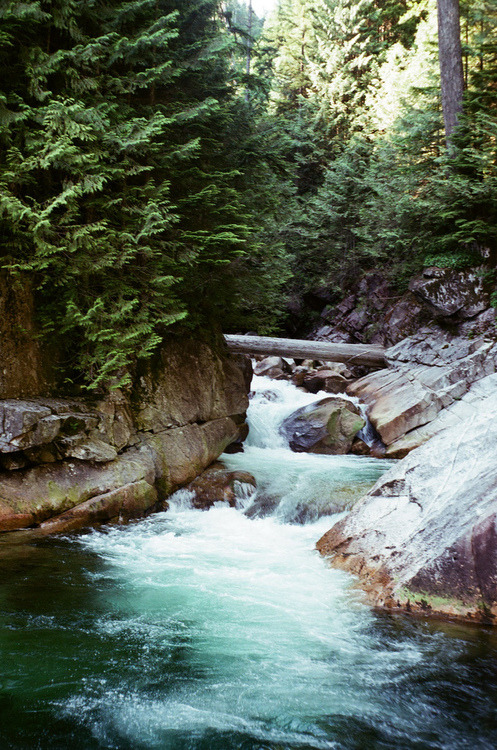 harmonnius:  water | via Tumblr on We Heart It. http://weheartit.com/entry/67592722/via/flowers4mybrain
