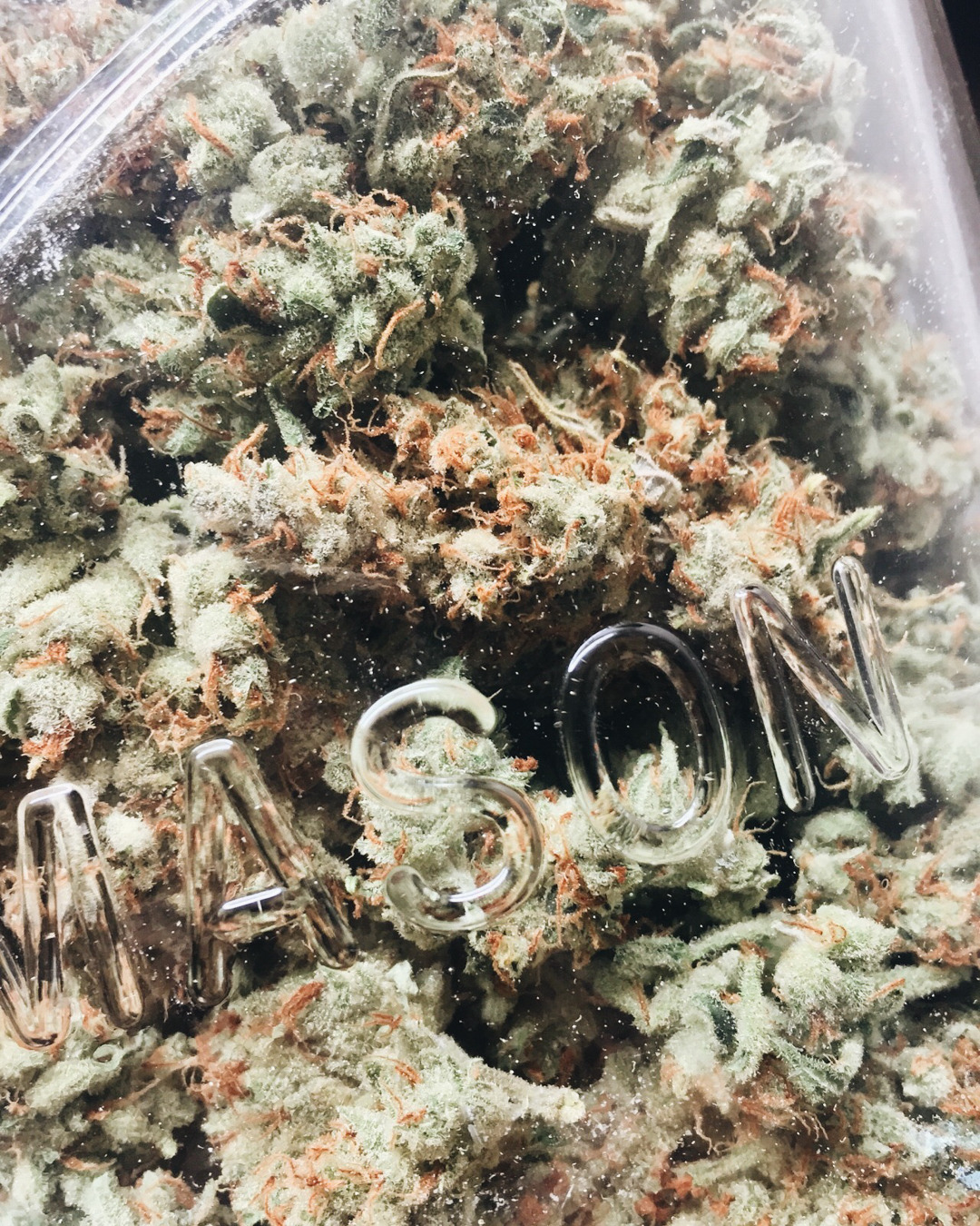 smkbrk:  🌲 weed 😋