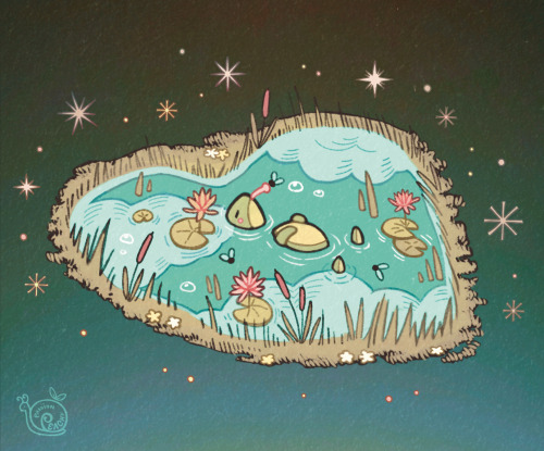 A frog floats on its back in a heart-shaped pond with water lilies and lily pads. Clouds reflect on the pond surface as the frog catches a fly. Small flowers and cattails surround the edge of the grass. The background is a dark teal gradient with several stars surrounding the scene.