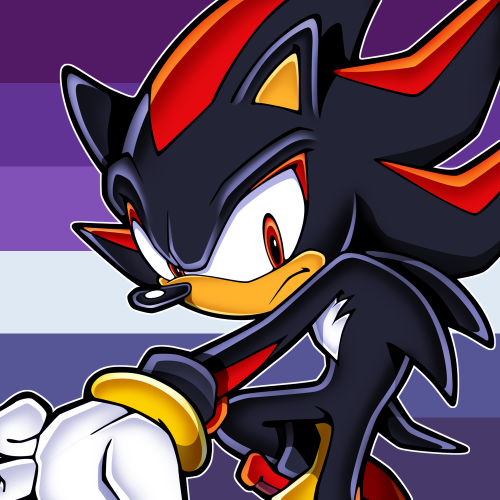 Both Sonic and Shadow the Hedgehog have sleepy bitch disease! They fight over who can go to sleep th