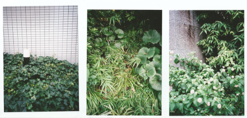 lemaddyart: screen grabs of scanned photos from japan alot more to process - really pleased with th