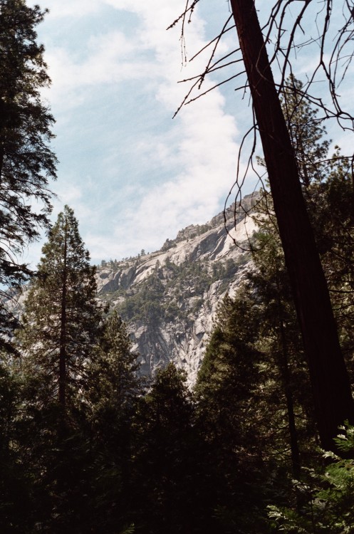 Yosemite National ParkNational Park // No.1Nikon FM // 50mm 1.8 // Colour Plus 200