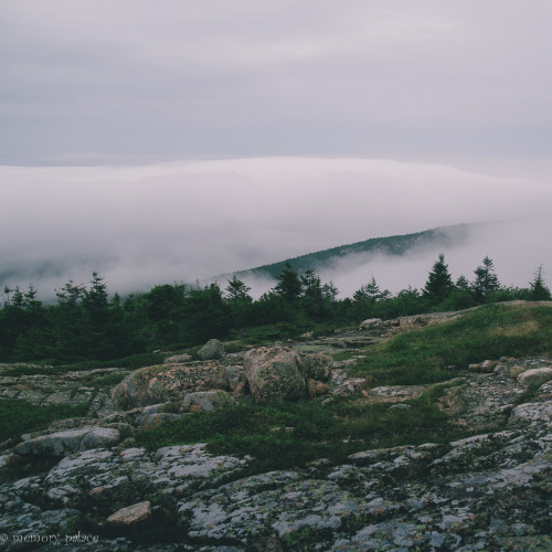 ~Cadillac Mountain~
