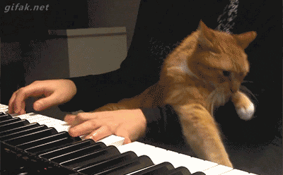 funny-gif-1:  Other Funny Gİfs http://funny-gif-1.tumblr.com/
