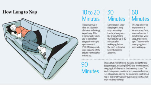 joevince:shutuphallie:dinosaurparty:(via How Long to Nap for the Biggest Brain Benefits)This is why 