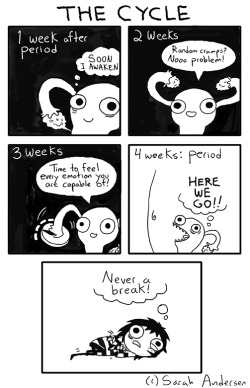 sarahseeandersen:  People never really talk about the fact that it’s not just periods that are bad, it’s the WHOLE CYCLE! 