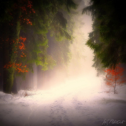 WINTER MAGIC by HiS***PhotoArt on Flickr.