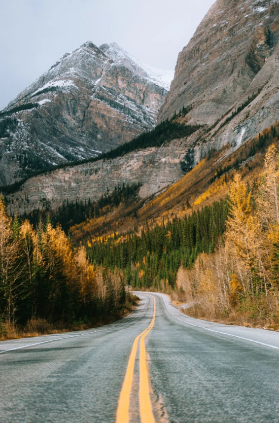 birdsonqs:by  Nick Verbelchuk  