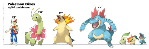 More Pokemon size comparisons! This time I&rsquo;m comparing the Kanto starters and the Johto st