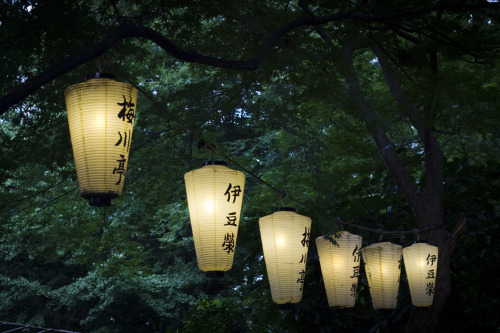 Ueno Park 2014