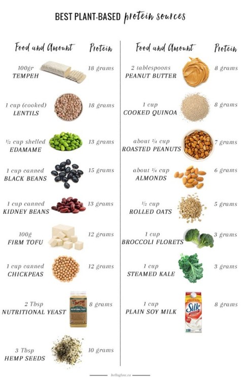 Plant Based Protein Sources InfographicAre you a vegetarian like me? This infographic from Hello Glo