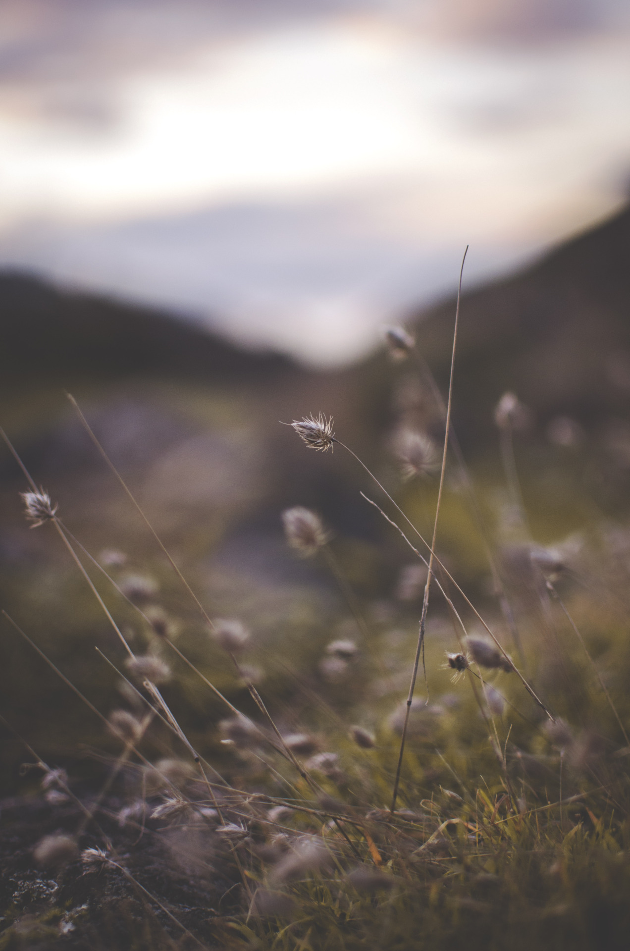 deeplovephotography:  portfolio | flickr | facebook | society6       