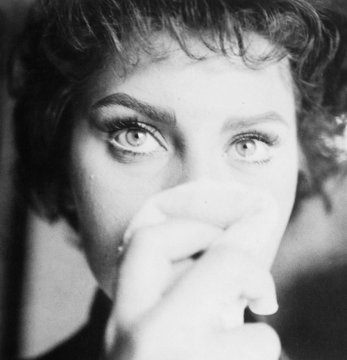 lottereinigerforever:Sophia Loren by Federico Garolla