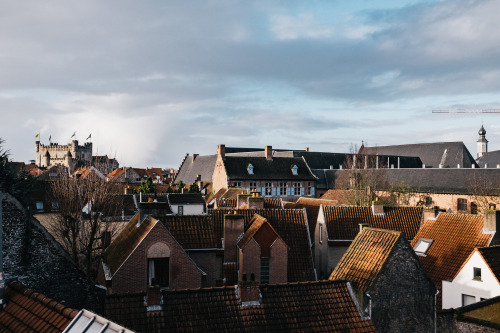 Gent rooftops in winter, 2020.