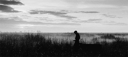 lilyaldrinn-deactivated20141221:  Come back. Come back to me. 