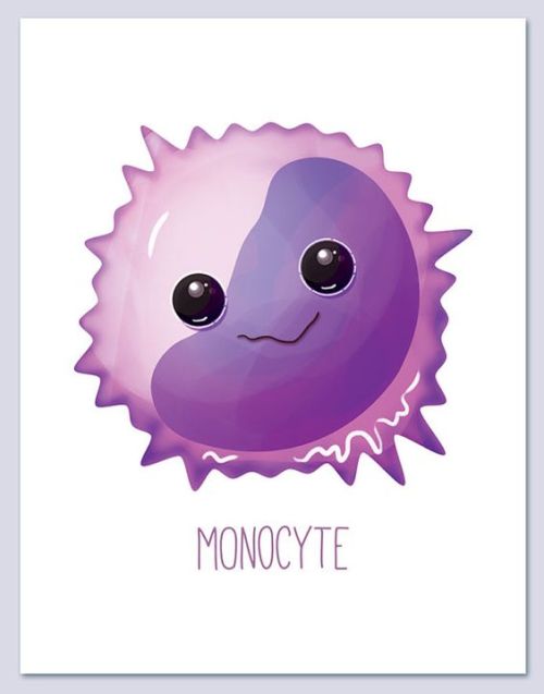 Cute Components of Blood