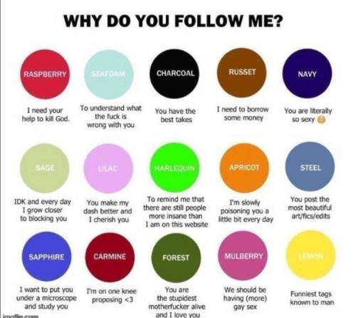 Just A Question To Literally Anyone Who Wants To Answer. Ima Send It To My Moots, Feel Free To Make It