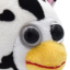 roamerofthisplace