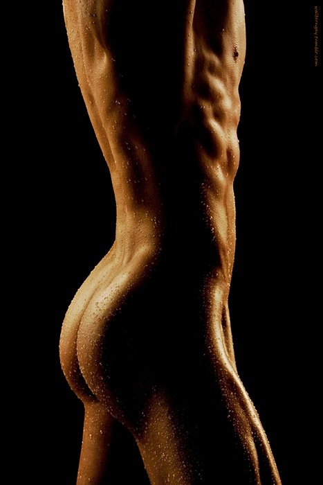 bestgaysexo:  All the beauty of gay sex and more others beauties …      