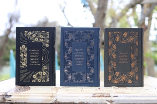 tilly-and-her-books:Introducing the Penguin Faux Leather-bound Classics! 