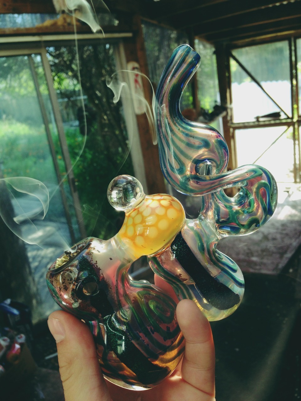 Hi I'm Hayley & I really like Weed