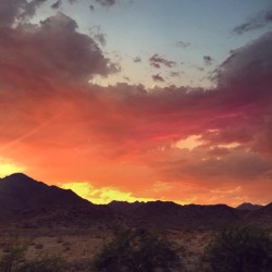 desertfl0wers: desert sunsets