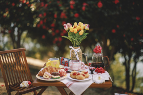 2022-03-27Spring, Camellia PicnicCanon EOS R3 + RF50mm f1.2LInstagram  |  hwantastic79vivid