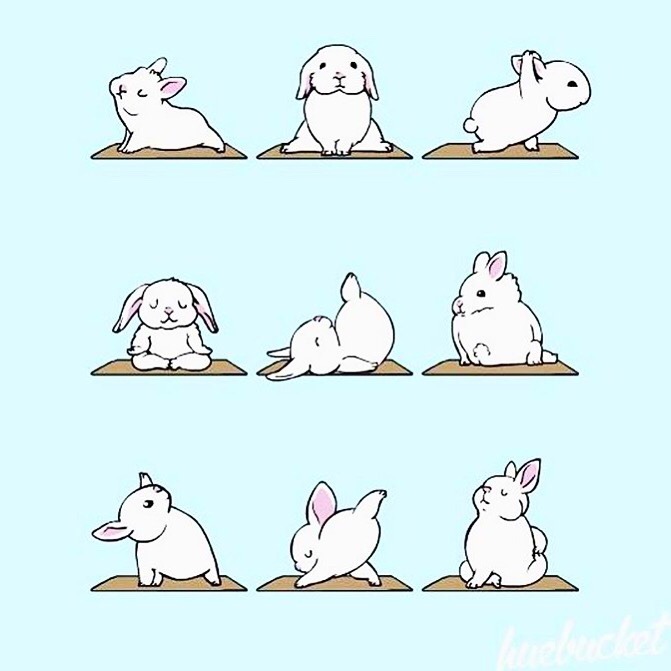 Leslie Lewis Yoga — It may be Easter but even the bunnies need their