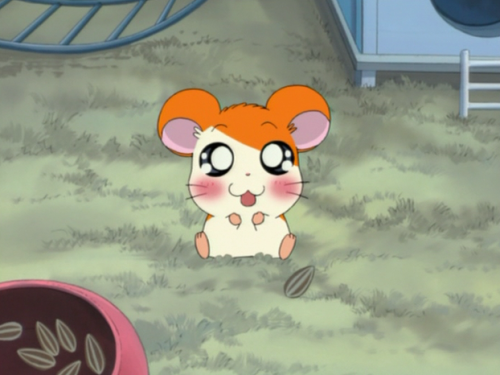 8111fhamtaro: 照れるハム太郎可愛すぎる