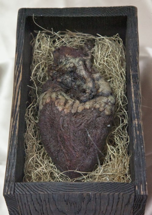 red-faced-wolf: gourmandghast: piefacemcgee:  thirdoffive:  The mummified heart of a Norse giant. Wh