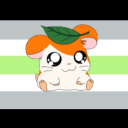 hamsterlover38 avatar