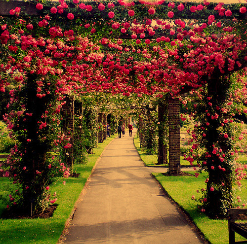 iamadaydreamer0101:  Máš RP (1) - Fotoalbumy - Kika_197 - Pokec.sk on We Heart It. http://weheartit.com/entry/67325449/via/janahorses