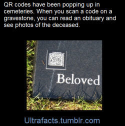 bedlamsbard:  riteofswing:  ultrafacts: 